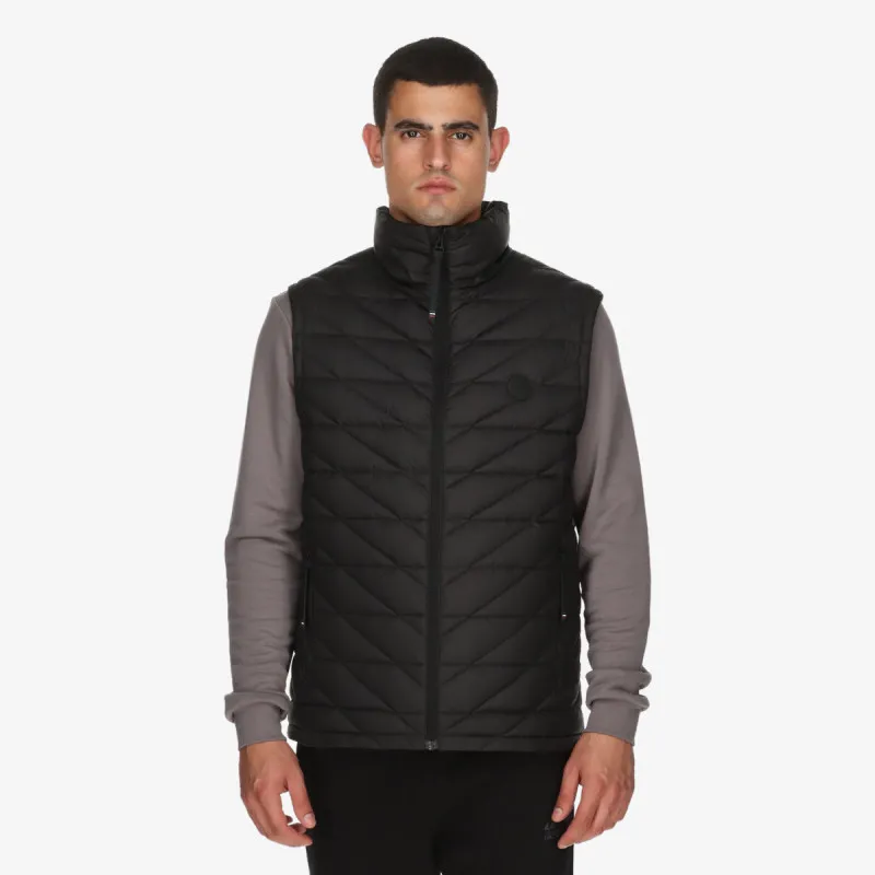 Mont Vest 