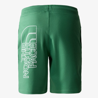 THE NORTH FACE Men’s Graphic Short Light-Eu 
