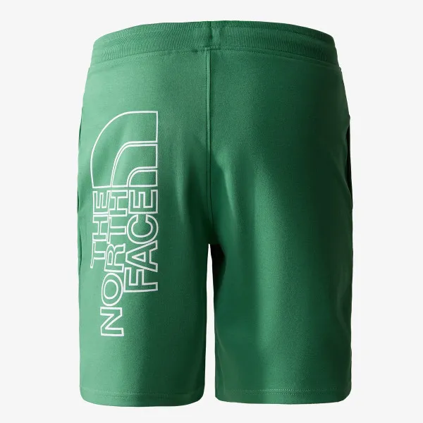 THE NORTH FACE Men’s Graphic Short Light-Eu 