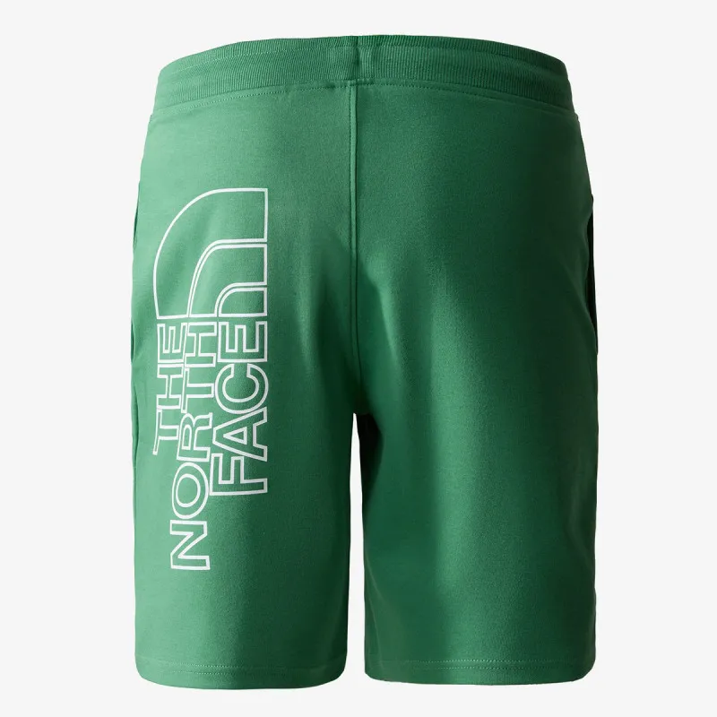 THE NORTH FACE Men’s Graphic Short Light-Eu 