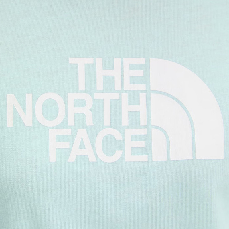 The North Face EVOLUTION HALF DOME RELAXED SHORT 