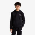The North Face TEEN EVOLUTION BOX NSE PULLOVER HOODIE 